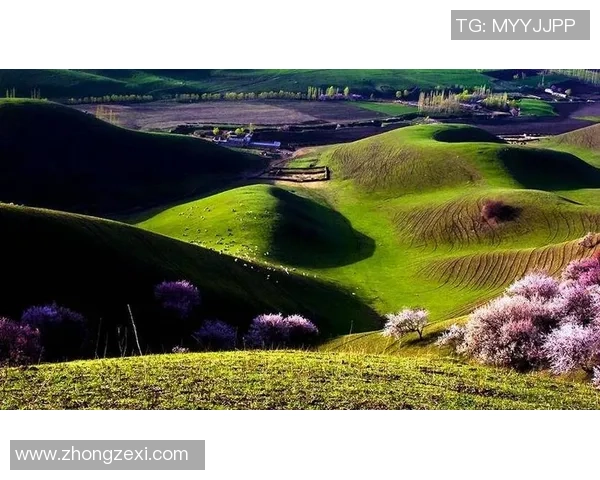 足球明星晋美的成长历程与辉煌成就全景解析